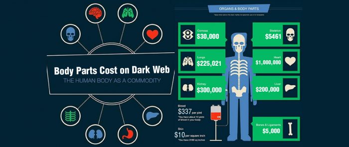 How Much Do Body Parts Cost On The Dark Web